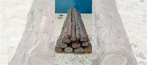 Можжевельник для панно купить в Челябинске | Товары для дома и дачи | Авито