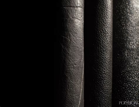 Celium™ Bio leather | Circular Material Library