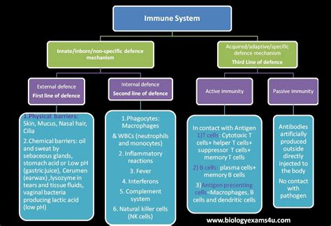 Immunology Tutorial Immune System An Introduction Immune System Nursing Immunity Nursing