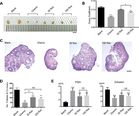 Resveratrol Alleviates Chemotherapy Induced Oogonial Stem Cell