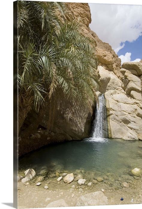 Desert Oasis Chebika Tunisia North Africa Africa Les Plus Beaux