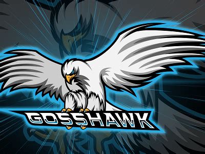 Hawk Mascot Logo by nexgen.graphics on Dribbble