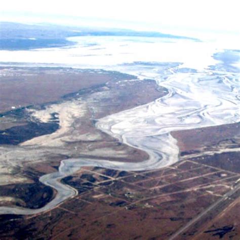 Estuario Del R O Gallegos Whsrn