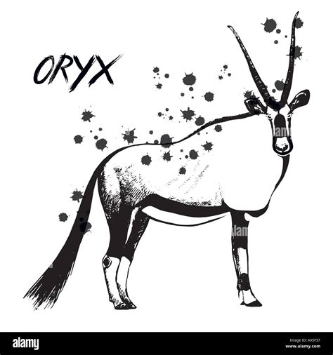 Hand Drawn Sketch Of Oryx Vector Illustration Isolated On White