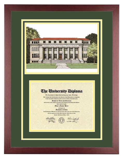 Colorado State University – CSU - Diploma Artworks