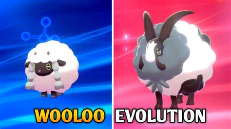 Wooloo Evolution In Pokemon Sword Shield Galar Pokedex Youtube