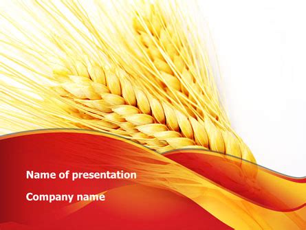 Wheat Harvest Presentation Template For PowerPoint And Keynote PPT Star