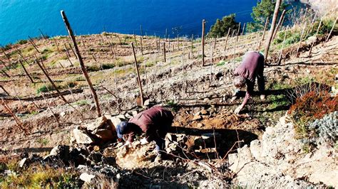 Mondial des vins Extrêmes in Val dAosta si potranno degustare vini