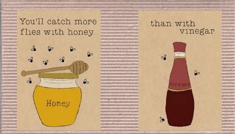 Best Advice You Can Catch More Flies With Honey Than With Vinegar