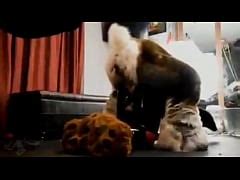 Furry Sex Murrsuit Compilation Moan Part Xxx Mobile Porno Videos Movies Iporntv Net