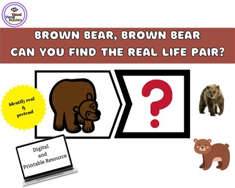 Real Life Animal Pairs With Brown Bear Brown Bear Brown Bear What Do You See Story Extension ...