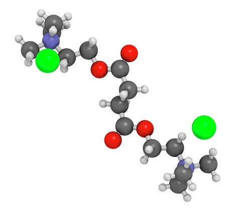 Suxamethonium Chloride Molecule by Science Photo Library