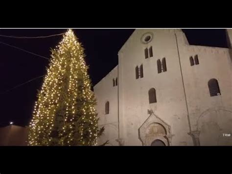 Bari Si Prepara A Festeggiare San Nicola Acceso L Albero Di Natale