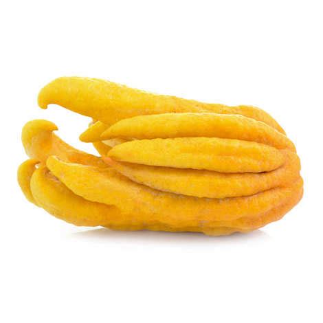 Buddha's hands from France