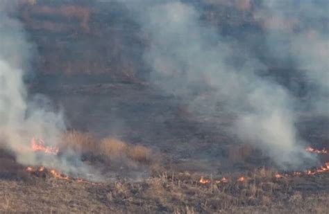 Incendios Forestales En Salta Más De 3000 Hectáreas Afectadas Por El