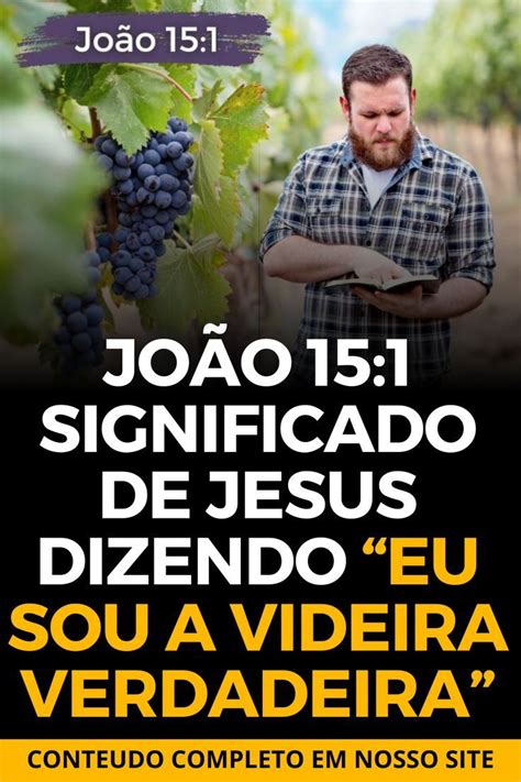 João 15 1 Significado de Jesus dizendo Eu sou a videira verdadeira em