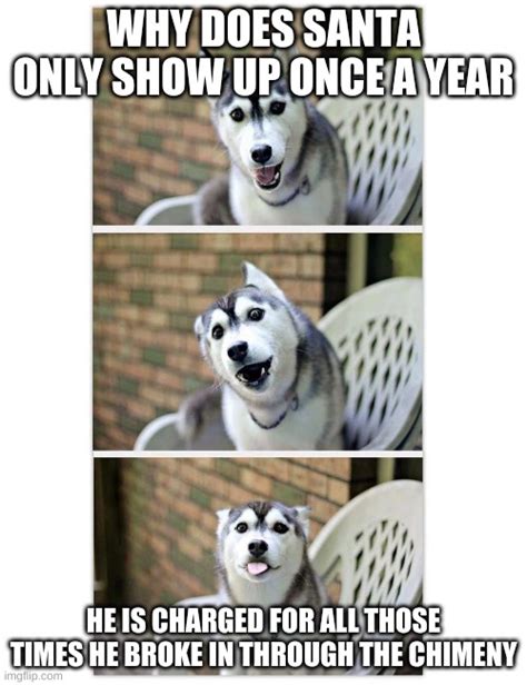 Husky Meme Pun