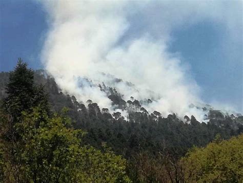 Gigante Incendio Consume Hectáreas De Bosque En Serranía De Temoaya