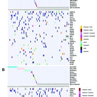 Genomic Landscape Under Different Igh Translocations Somatic Mutation