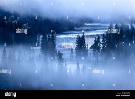 China Xinjiang Uygur Autonomous Region Forest Hi Res Stock Photography