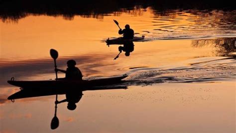 Bioluminescence Night Kayaking In Havelock Island Andaman Islands