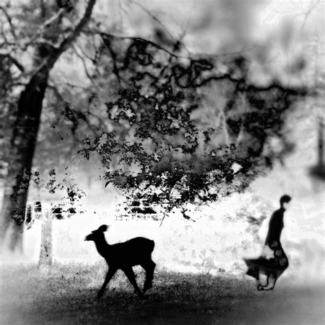 Panopticon Gallery - First Look 2023