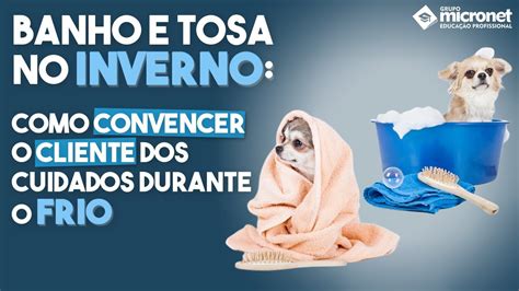 Banho E Tosa No Inverno Como Convencer O Cliente Dos Cuidados Durante