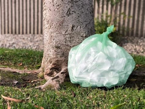 20 Best Biodegradable Garbage Bags - Causeartist