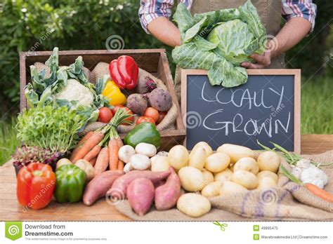 Farmer Selling Organic Veg At Market Stock Image Image Of Carrot