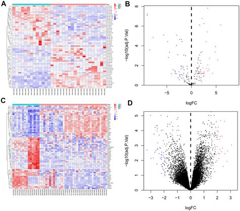 MiRNA 142 3p Functions As A Potential Tumor Suppressor Directly