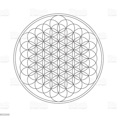 Flower Of Life Sacred Geometry Stock Illustration Download Image Now Balance Beauty Circle