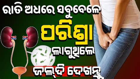 Health Tips କଣ ଆପଣଙ୍କୁ ସବୁବେଳେ ଅଧ ରାତିରେ ପରିସ୍ରା Urine ଲାଗୁଛି ଜାଣି