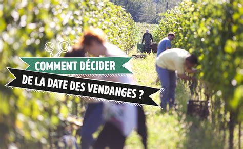 Comment D Cider De La Date Des Vendanges