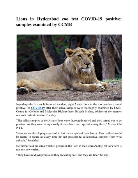 Ppt Lions In Hyderabad Zoo Test Covid 19 Positive Samples Examined