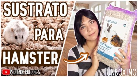 Sustrato De Papel Para Hamster Youtube