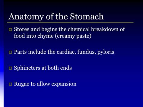 Ppt The Four Stages Of Food Processing Powerpoint Presentation Free Download Id5052953