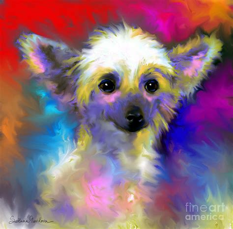 Chinese Crested Dog Puppy Painting Print Painting By Svetlana Novikova