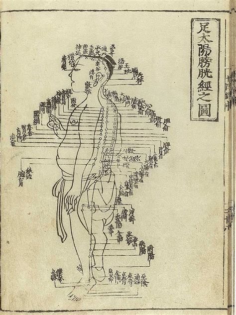 Acupuncture Explained How The Ancient Chinese Therapy Of Needle Poking