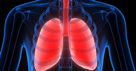 Barrel Chest COPD: How Late Stage COPD Affects Anatomy