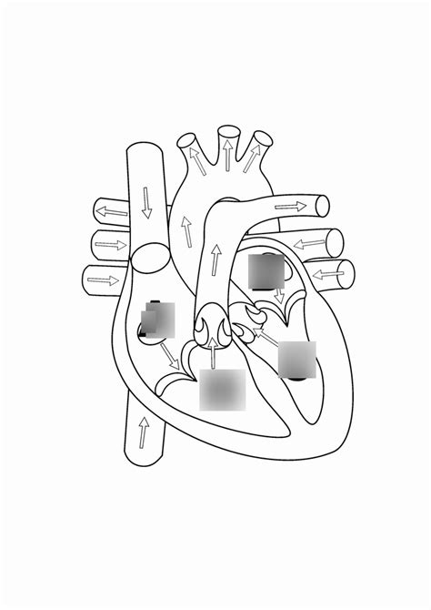 Abeka Th Grade Health Quiz Diagram Quizlet