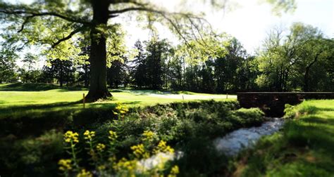 springdale golf club princeton 10