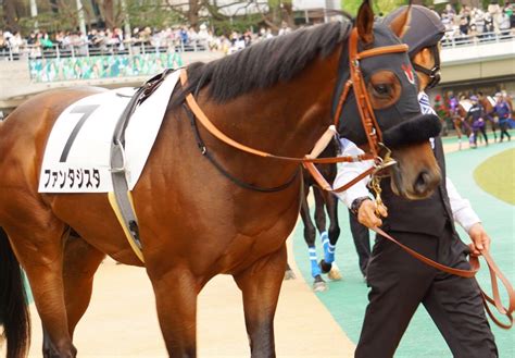 5月14日東京競馬⭐︎3歳未勝利⭐︎ファンタジスタ⭐︎鼻出血が敗因 公式：黒澤ひかりのキラキラ日記～magic Kiss Lovers Only～