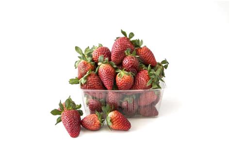 Fresh Strawberry in Shop Plastic Boxes Stock Photo - Image of fruit ...