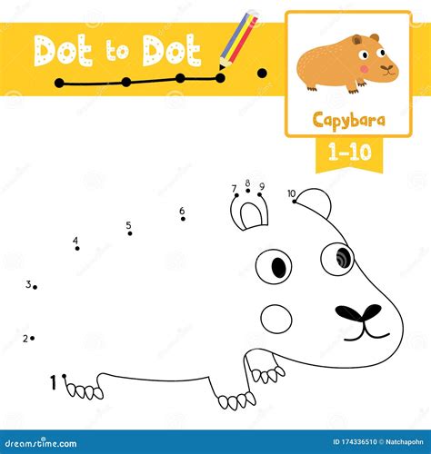 Dot To Dot Educational Game And Coloring Book Capybara Animal Cartoon