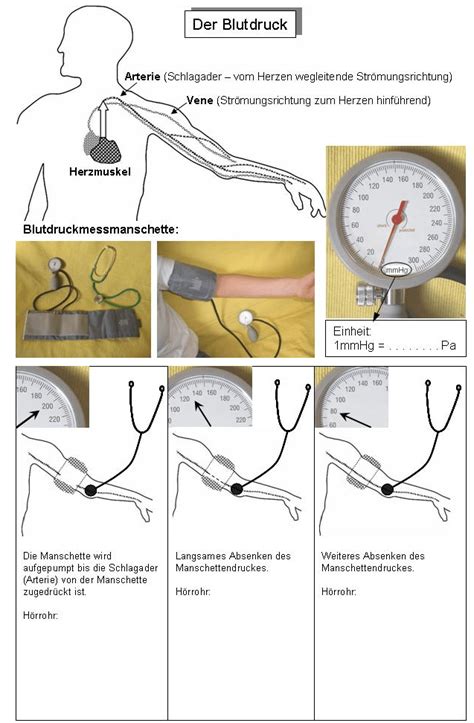 Blutdruck Messen Arbeitsblatt