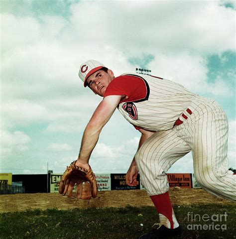 Pete Rose In Spring Training By Bettmann