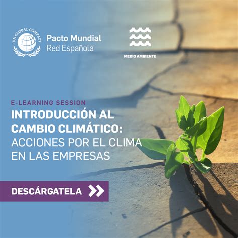 Descubre Cómo Abordar El Cambio Climático En Tu Estrategia Empresarial