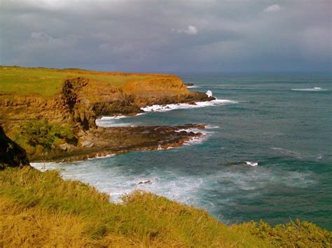 Views Maui Guidebook