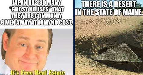 40 Nuggets of Neural Nom-Noms For a Fact-Filled Feast | eBaum's World