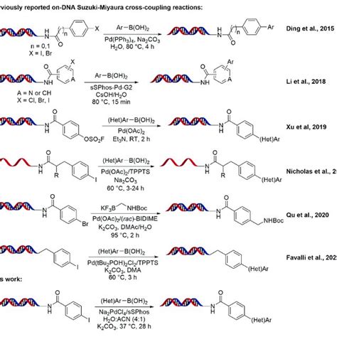 Scheme 1 On Dna Suzuki Miyaura Cross Coupling Reaction Development